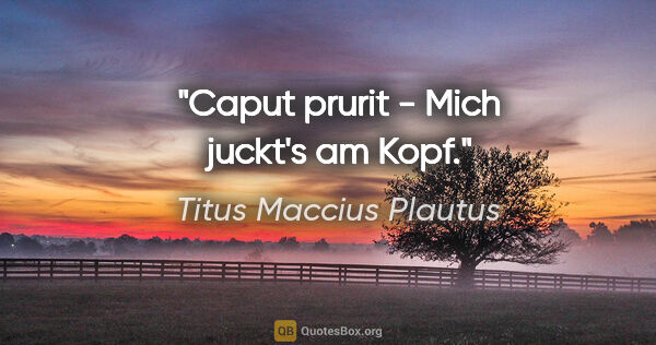Titus Maccius Plautus Zitat: "Caput prurit - Mich juckt's am Kopf."