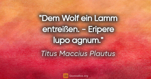 Titus Maccius Plautus Zitat: "Dem Wolf ein Lamm entreißen. - Eripere lupo agnum."