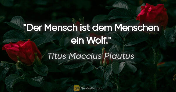 Titus Maccius Plautus Zitat: "Der Mensch ist dem Menschen ein Wolf."