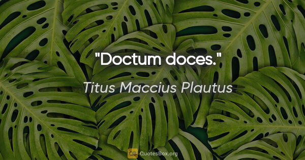 Titus Maccius Plautus Zitat: "Doctum doces."