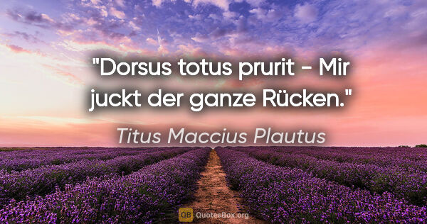 Titus Maccius Plautus Zitat: "Dorsus totus prurit - Mir juckt der ganze Rücken."