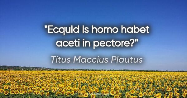 Titus Maccius Plautus Zitat: "Ecquid is homo habet aceti in pectore?"