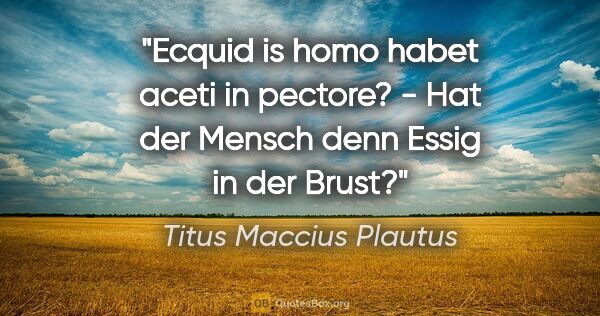 Titus Maccius Plautus Zitat: "Ecquid is homo habet aceti in pectore? - Hat der Mensch denn..."