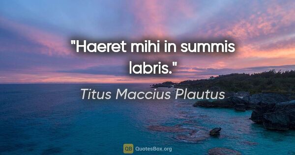 Titus Maccius Plautus Zitat: "Haeret mihi in summis labris."