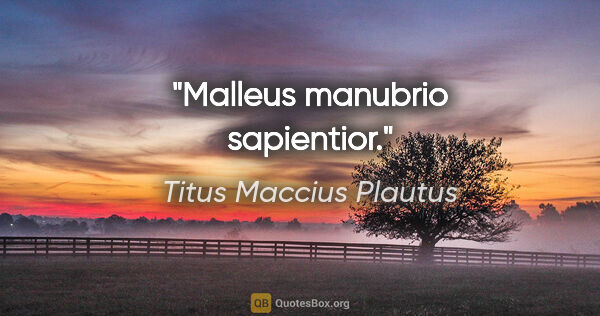 Titus Maccius Plautus Zitat: "Malleus manubrio sapientior."