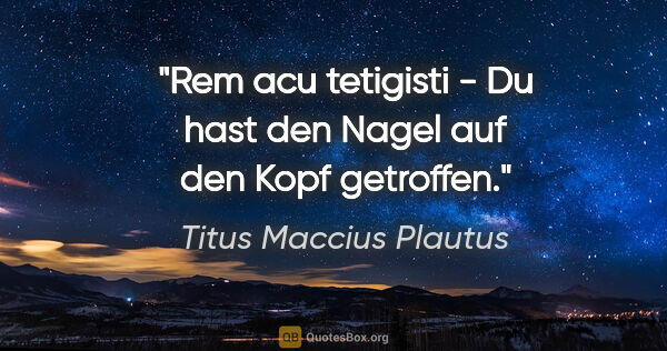 Titus Maccius Plautus Zitat: "Rem acu tetigisti - Du hast den Nagel auf den Kopf getroffen."