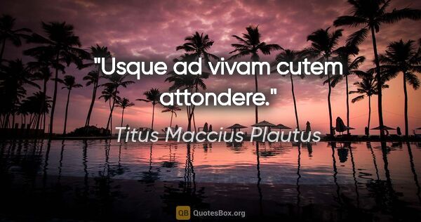 Titus Maccius Plautus Zitat: "Usque ad vivam cutem attondere."
