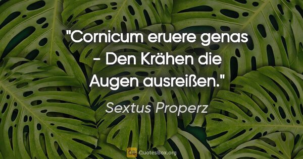 Sextus Properz Zitat: "Cornicum eruere genas - Den Krähen die Augen ausreißen."
