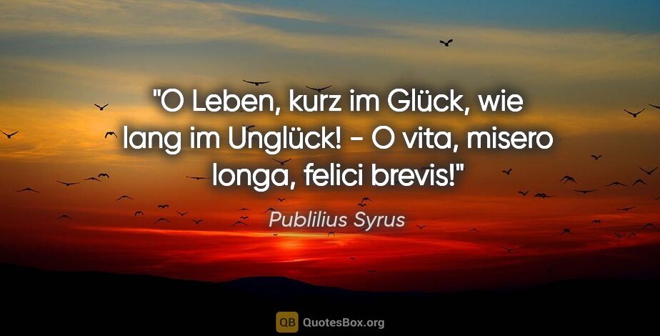 Publilius Syrus Zitat: "O Leben, kurz im Glück, wie lang im Unglück! - O vita, misero..."