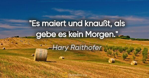 Hary Raithofer Zitat: "Es maiert und knaußt, als gebe es kein Morgen."