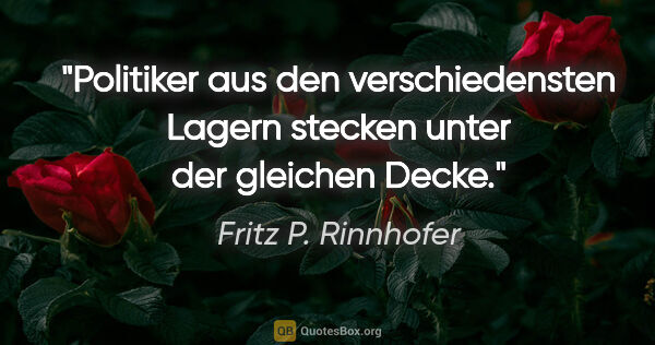 Fritz P. Rinnhofer Zitat: "Politiker aus den verschiedensten Lagern stecken unter der..."