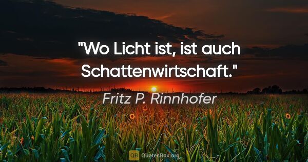 Fritz P. Rinnhofer Zitat: "Wo Licht ist, ist auch Schattenwirtschaft."