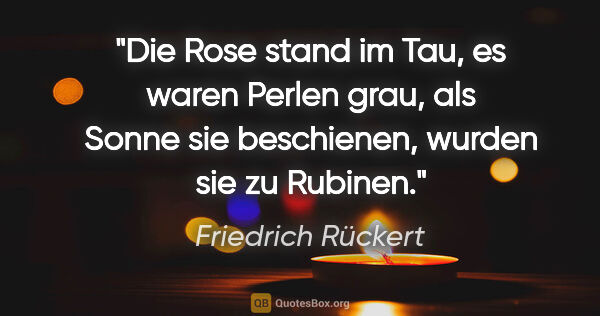 Friedrich Rückert Zitat: "Die Rose stand im Tau, es waren Perlen grau, als Sonne sie..."