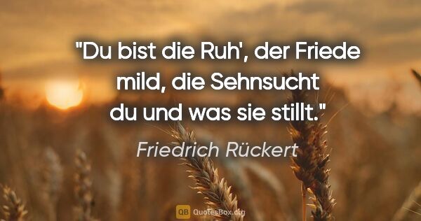 Friedrich Rückert Zitat: "Du bist die Ruh', der Friede mild, die Sehnsucht du und was..."
