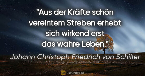 Johann Christoph Friedrich von Schiller Zitat: "Aus der Kräfte schön vereintem Streben erhebt sich wirkend..."