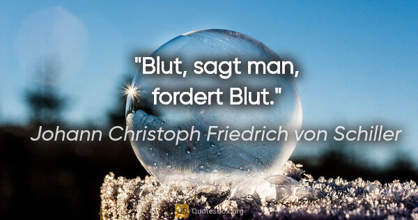 Johann Christoph Friedrich von Schiller Zitat: "Blut, sagt man, fordert Blut."