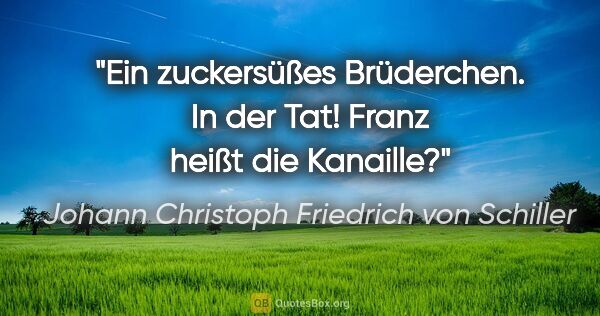 Johann Christoph Friedrich von Schiller Zitat: "Ein zuckersüßes Brüderchen. In der Tat! Franz heißt die Kanaille?"
