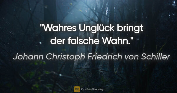 Johann Christoph Friedrich von Schiller Zitat: "Wahres Unglück bringt der falsche Wahn."