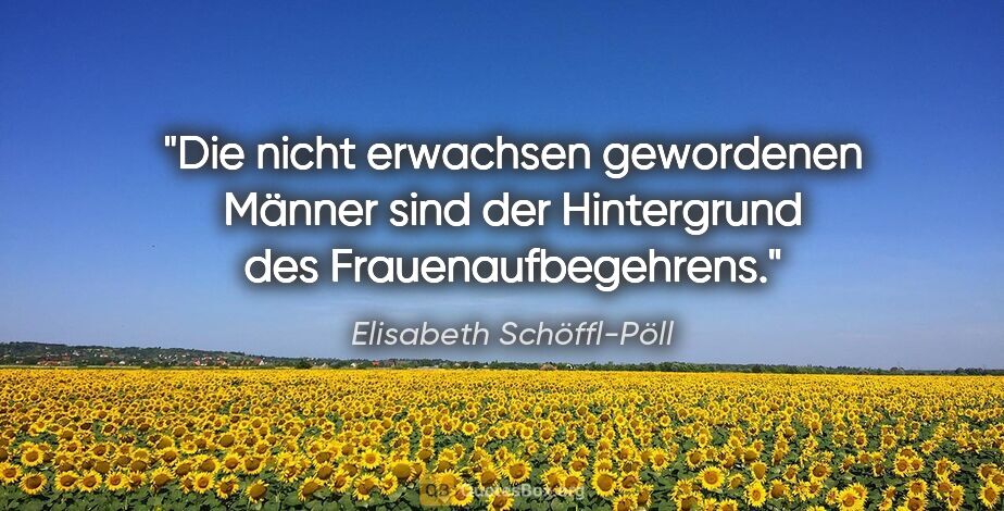 Elisabeth Schöffl-Pöll Zitat: "Die nicht erwachsen gewordenen Männer sind der Hintergrund des..."