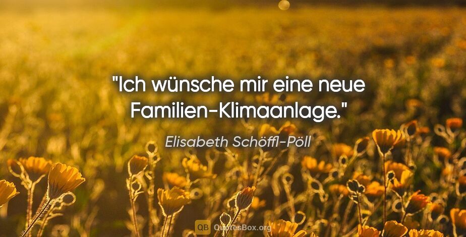 Elisabeth Schöffl-Pöll Zitat: "Ich wünsche mir eine neue Familien-Klimaanlage."