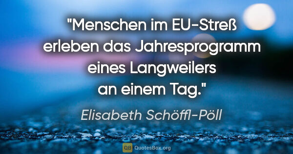 Elisabeth Schöffl-Pöll Zitat: "Menschen im EU-Streß erleben das Jahresprogramm eines..."
