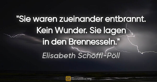 Elisabeth Schöffl-Pöll Zitat: "Sie waren zueinander entbrannt. Kein Wunder. Sie lagen in den..."