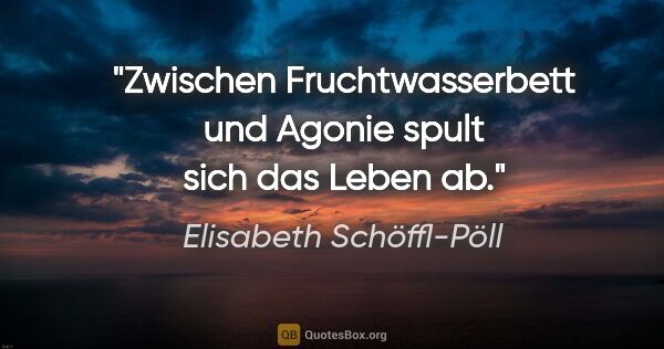 Elisabeth Schöffl-Pöll Zitat: "Zwischen Fruchtwasserbett und Agonie spult sich das Leben ab."
