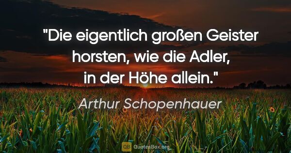 Arthur Schopenhauer Zitat: "Die eigentlich großen Geister horsten, wie die Adler, in der..."