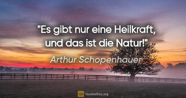 Arthur Schopenhauer Zitat: "Es gibt nur eine Heilkraft, und das ist die Natur!"