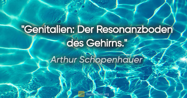 Arthur Schopenhauer Zitat: "Genitalien: Der Resonanzboden des Gehirns."