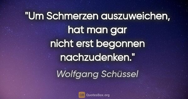 Wolfgang Schüssel Zitat: "Um Schmerzen auszuweichen, hat man gar nicht erst begonnen..."