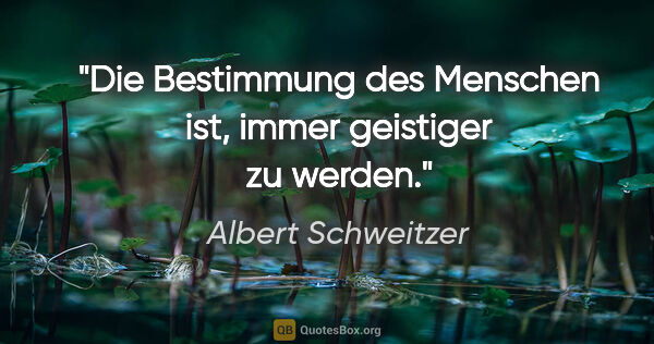 Albert Schweitzer Zitat: "Die Bestimmung des Menschen ist, immer geistiger zu werden."