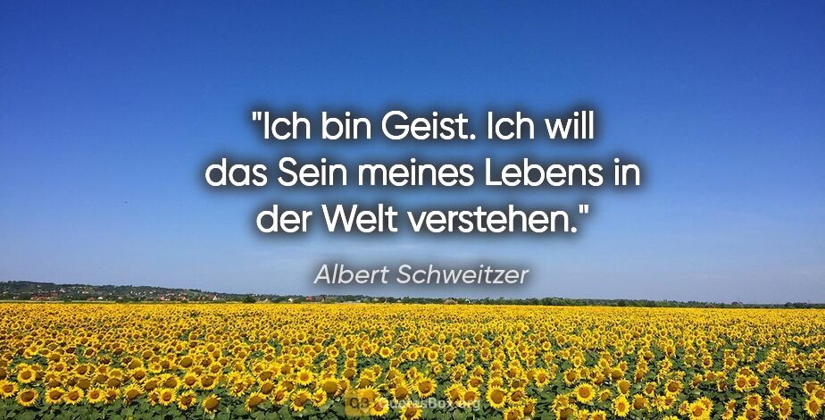 Albert Schweitzer Zitat: "Ich bin Geist. Ich will das Sein meines Lebens in der Welt..."