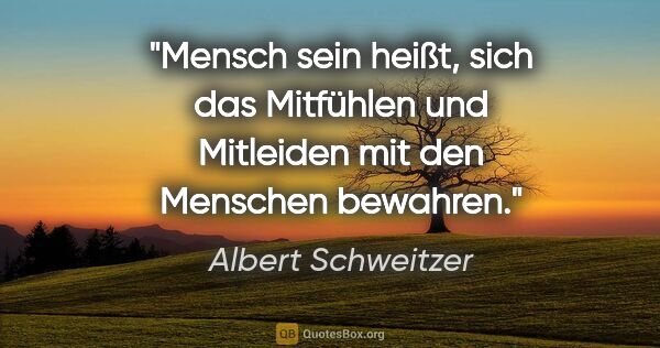 Albert Schweitzer Zitat: "Mensch sein heißt, sich das Mitfühlen und Mitleiden mit den..."