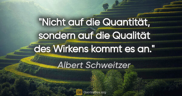 Albert Schweitzer Zitat: "Nicht auf die Quantität, sondern auf die Qualität des Wirkens..."