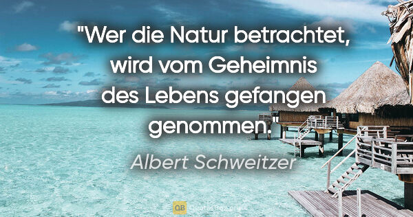 Albert Schweitzer Zitat: "Wer die Natur betrachtet, wird vom Geheimnis des Lebens..."