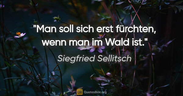 Siegfried Sellitsch Zitat: "Man soll sich erst fürchten, wenn man im Wald ist."