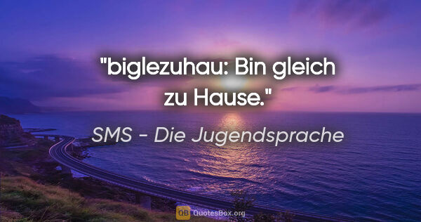SMS - Die Jugendsprache Zitat: "biglezuhau: Bin gleich zu Hause."