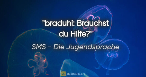 SMS - Die Jugendsprache Zitat: "braduhi: Brauchst du Hilfe?"