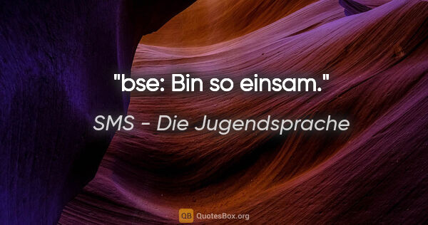 SMS - Die Jugendsprache Zitat: "bse: Bin so einsam."