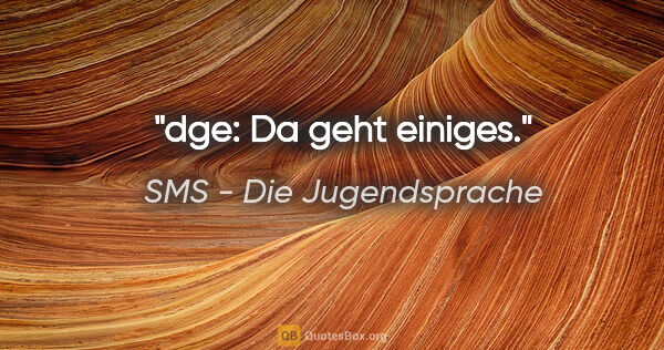 SMS - Die Jugendsprache Zitat: "dge: Da geht einiges."