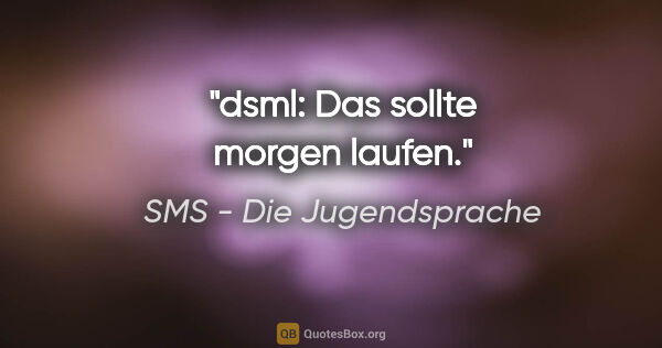 SMS - Die Jugendsprache Zitat: "dsml: Das sollte morgen laufen."