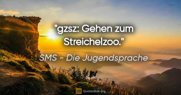 SMS - Die Jugendsprache Zitat: "gzsz: Gehen zum Streichelzoo."