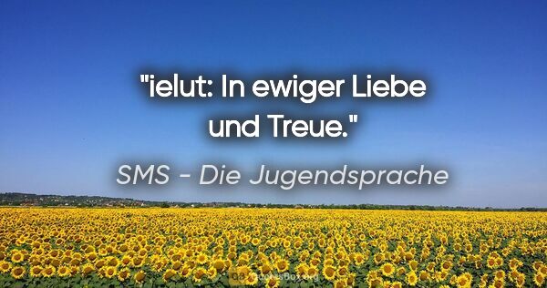 SMS - Die Jugendsprache Zitat: "ielut: In ewiger Liebe und Treue."