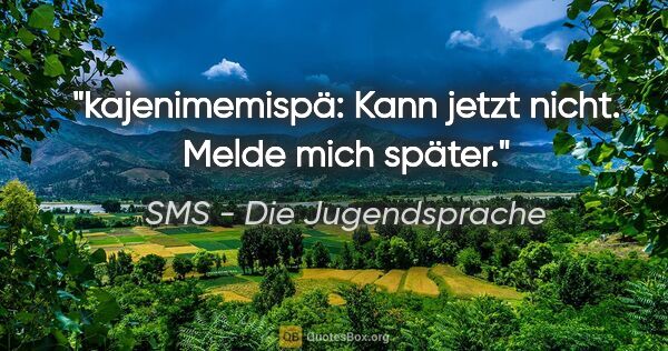 SMS - Die Jugendsprache Zitat: "kajenimemispä: Kann jetzt nicht. Melde mich später."