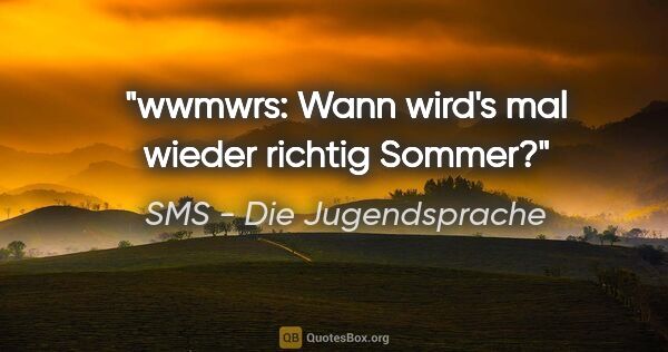 SMS - Die Jugendsprache Zitat: "wwmwrs: Wann wird's mal wieder richtig Sommer?"