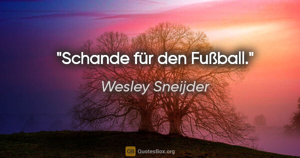 Wesley Sneijder Zitat: "Schande für den Fußball."