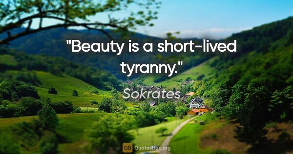 Sokrates Zitat: "Beauty is a short-lived tyranny."