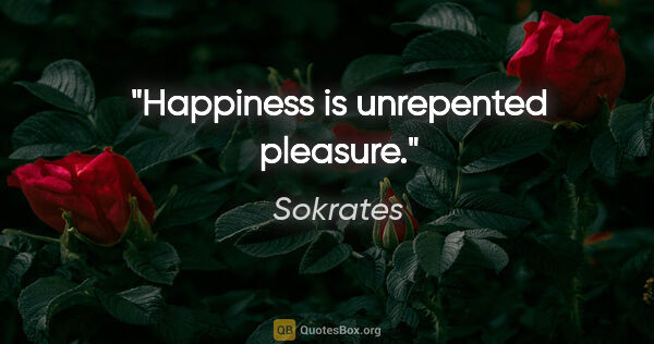 Sokrates Zitat: "Happiness is unrepented pleasure."
