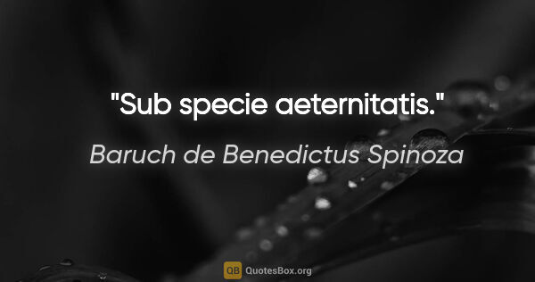 Baruch de Benedictus Spinoza Zitat: "Sub specie aeternitatis."